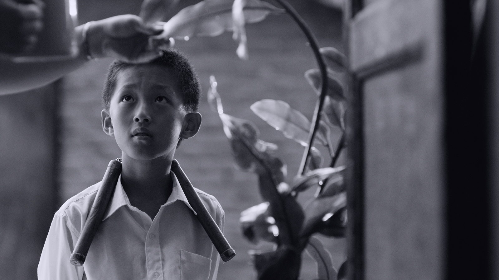 The Summer is&nbsp;Gone