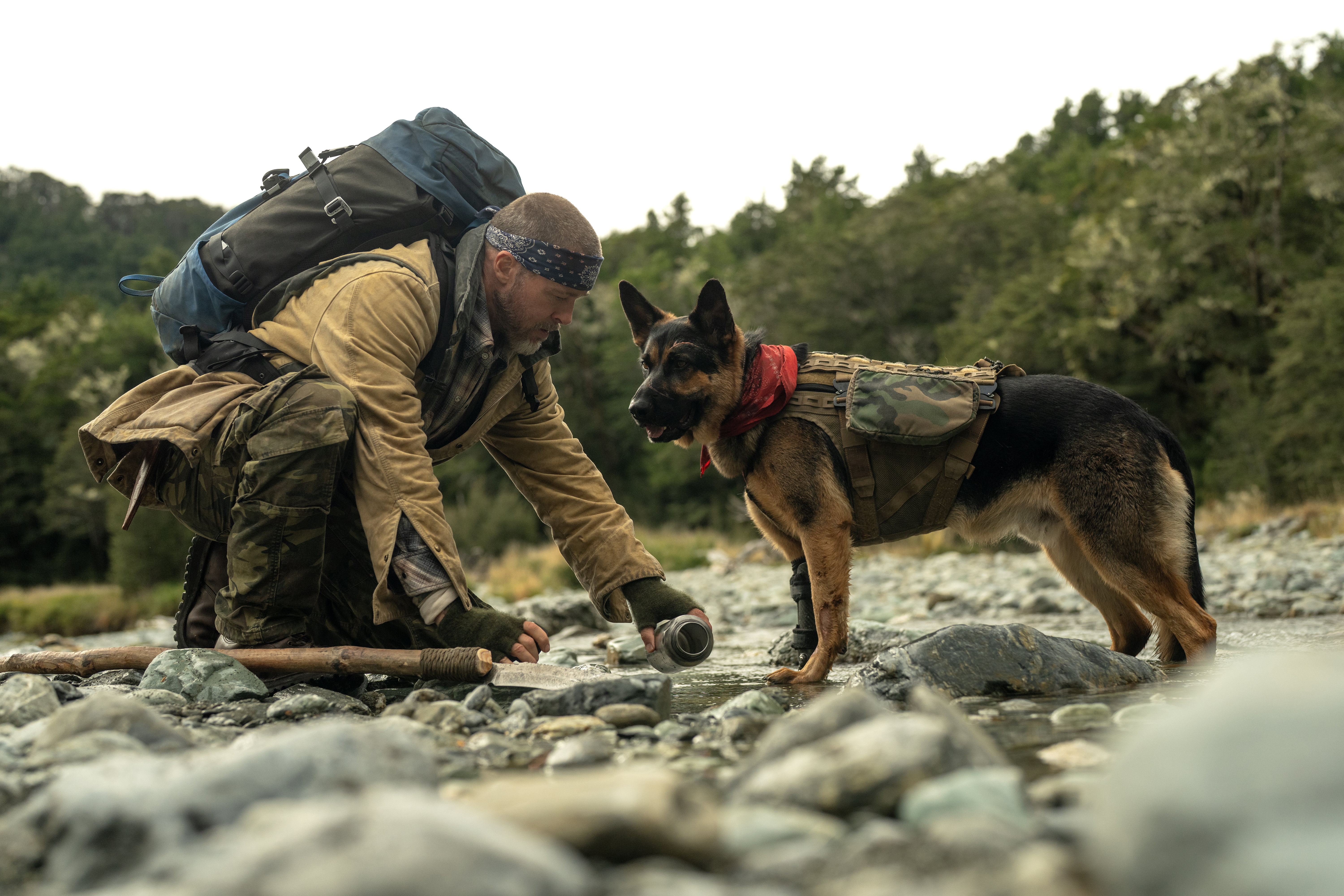 10 Great Movies where the Dog Takes the&nbsp;Lead